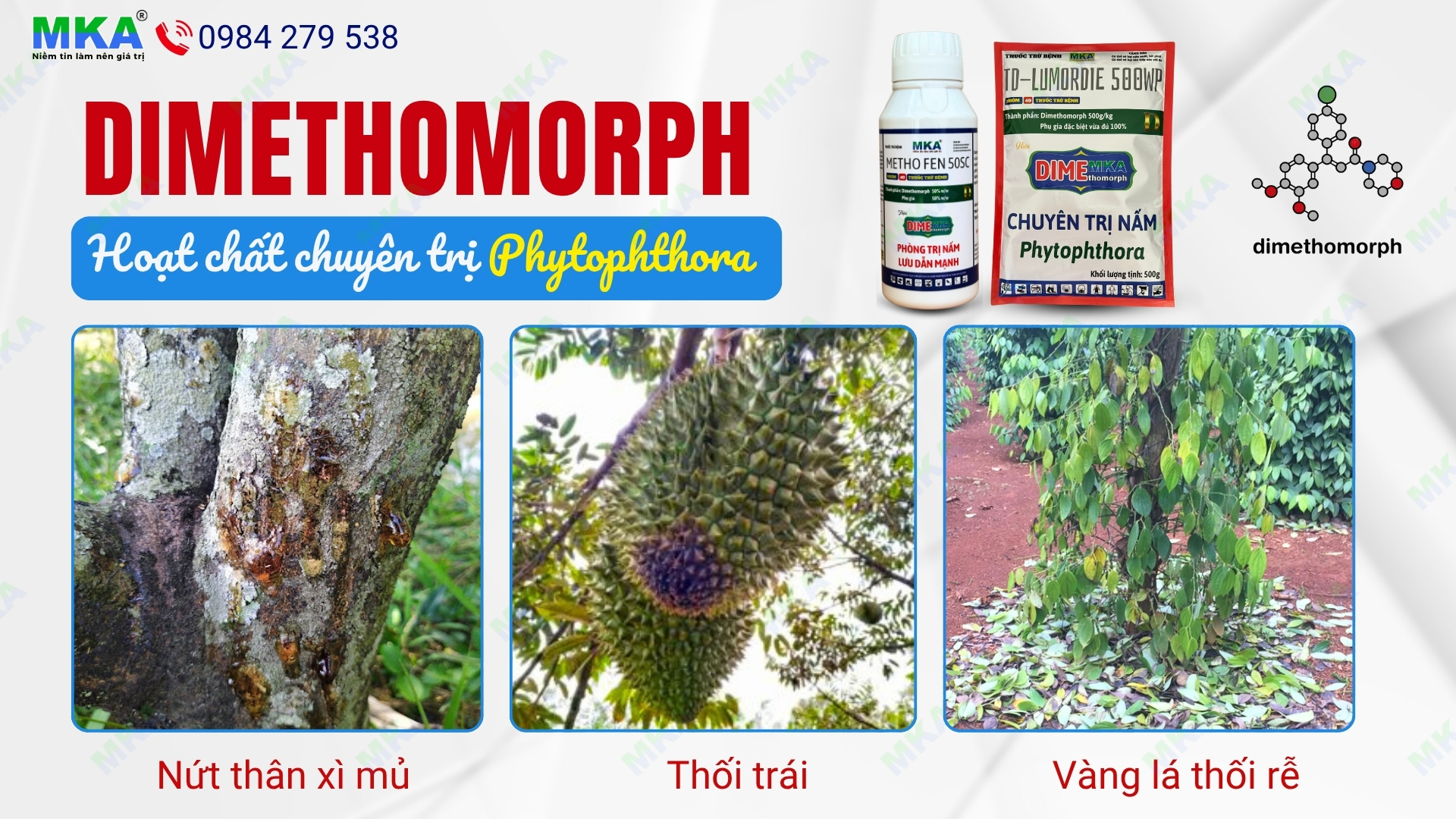 Hoạt chất Dimethomorph chuyên trị nấm phytophthora